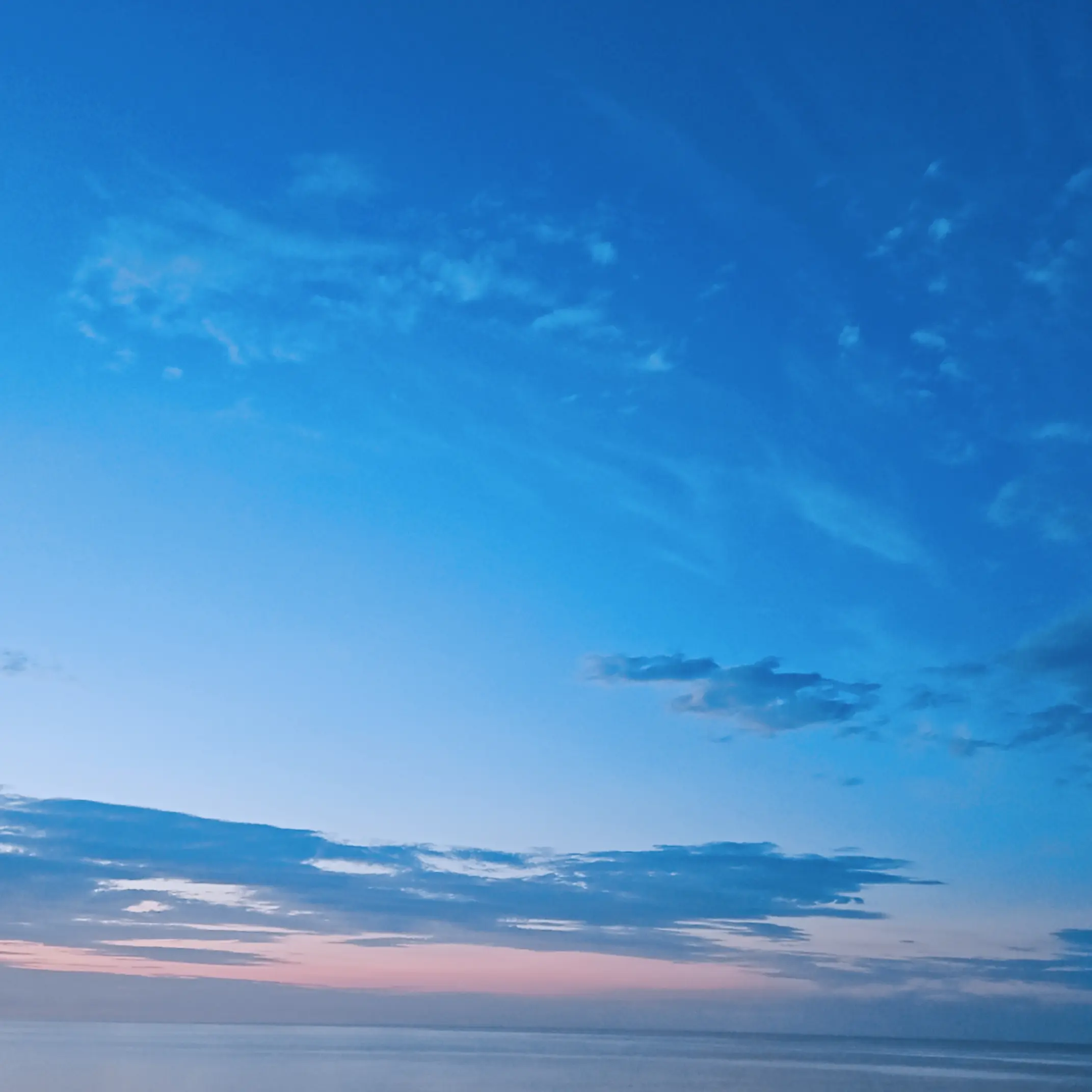 SD7979의 변덕이 심한 루카