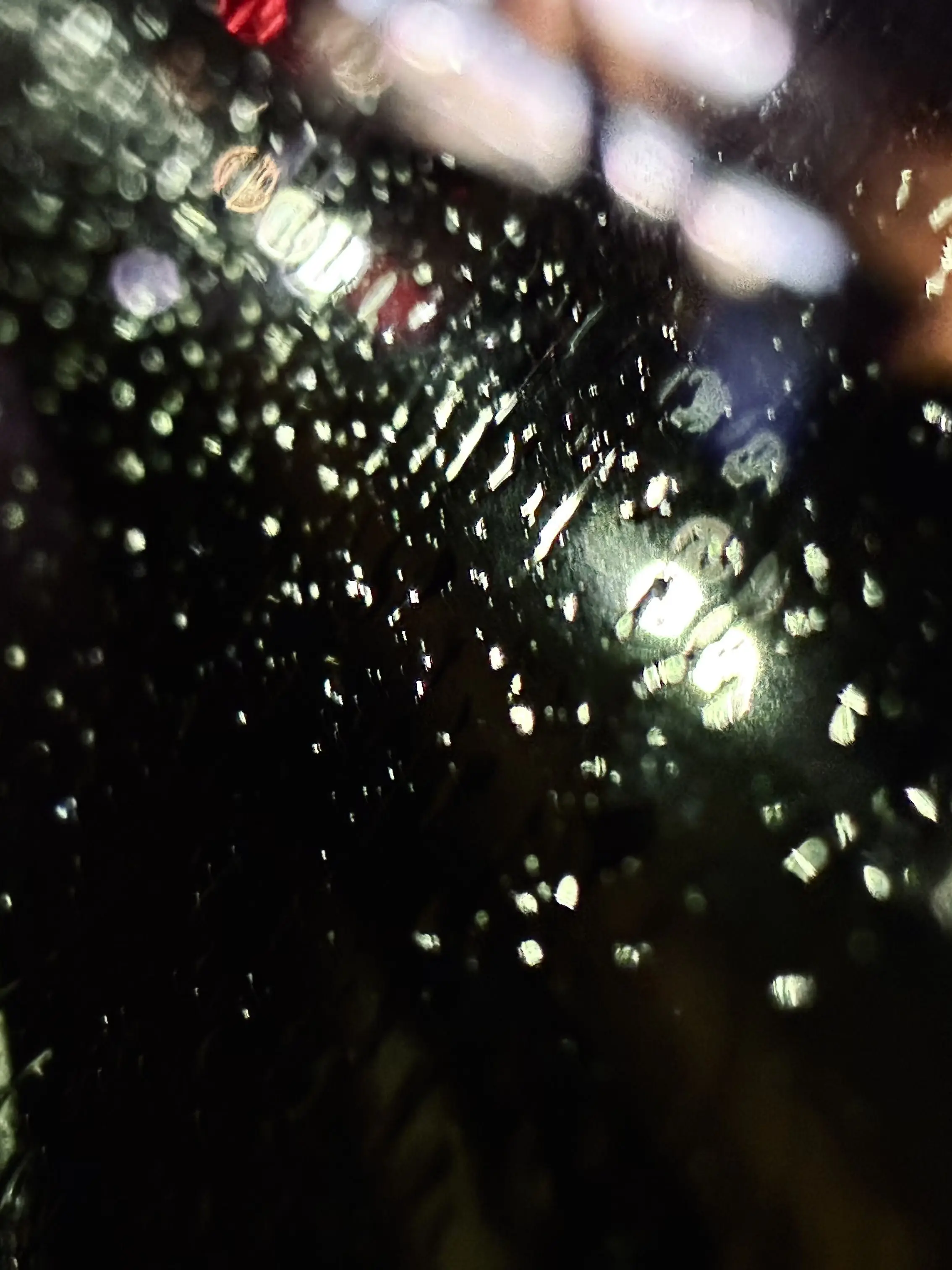 otukemono의 好きって言いたいのに！