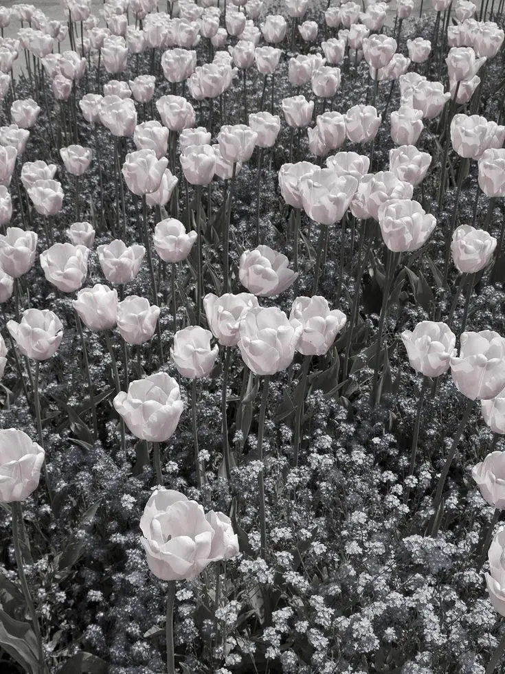 otya_의 ○○しないと出られない部屋