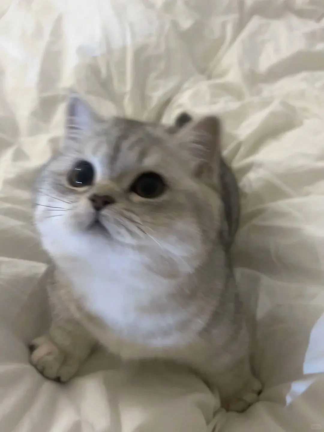 .....ux의 隣のクラス