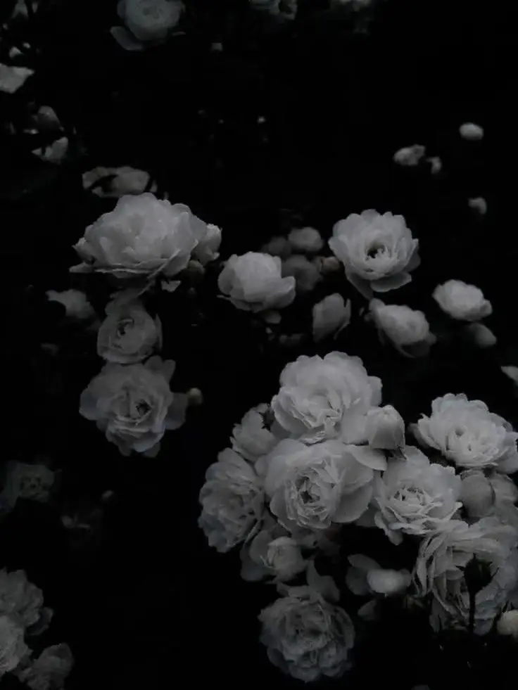 s_oxo의 H O S T C A L L