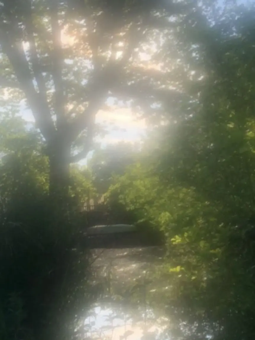 SickVale1782의 僕らだけの夏休み
