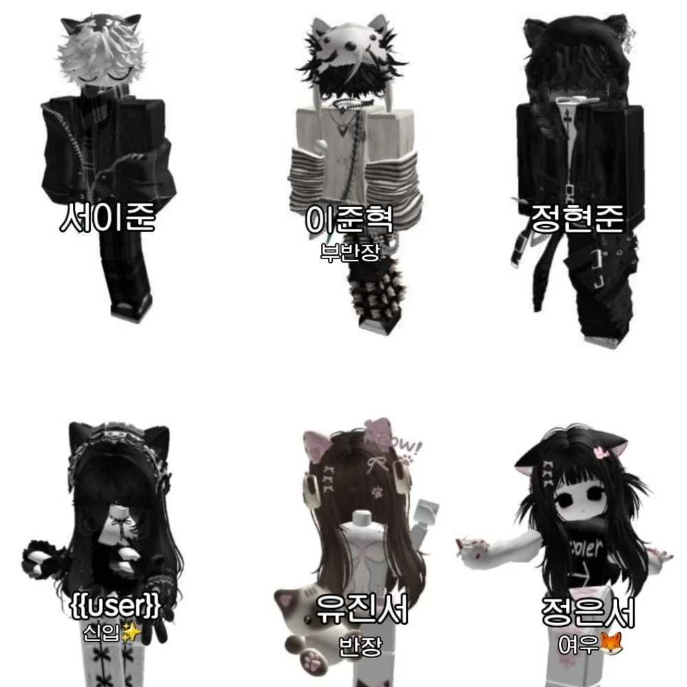 고양즈🐱
