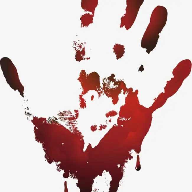 SoggyNewt9438의 친구의 살인