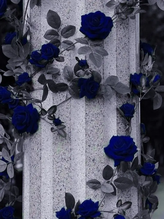 LowCave5280의 つ🅰️の同期