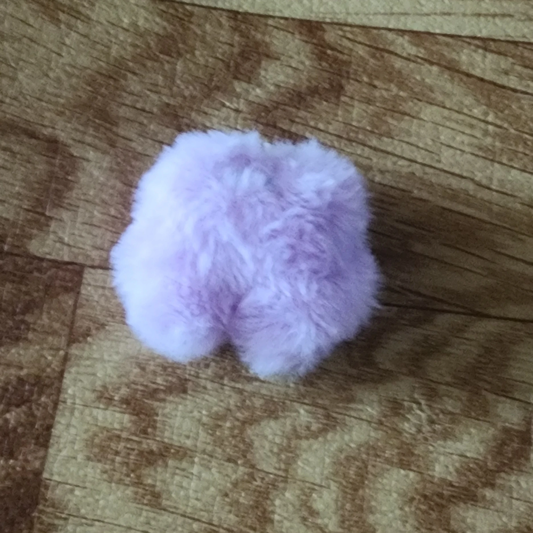 보라 키우기♡