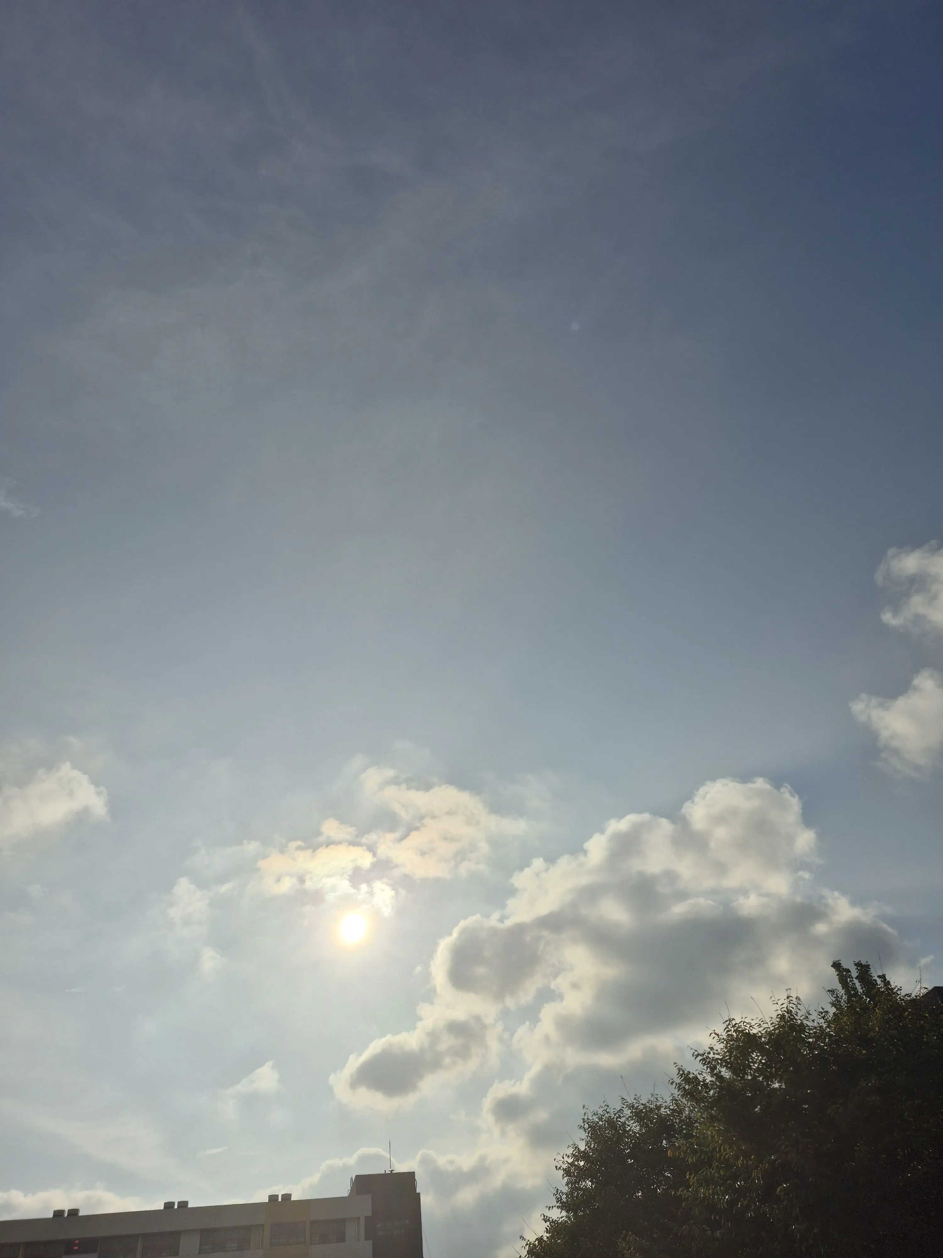 NosyChin0711의 전교 1등