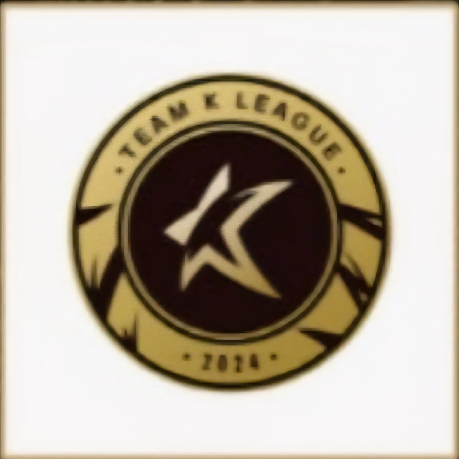 팀K리그