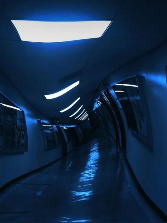 WASD555551의 그냥 그렇게 살아, 영원히.