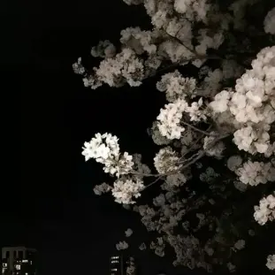 WO_OW의 쉐어하우스(외지주)