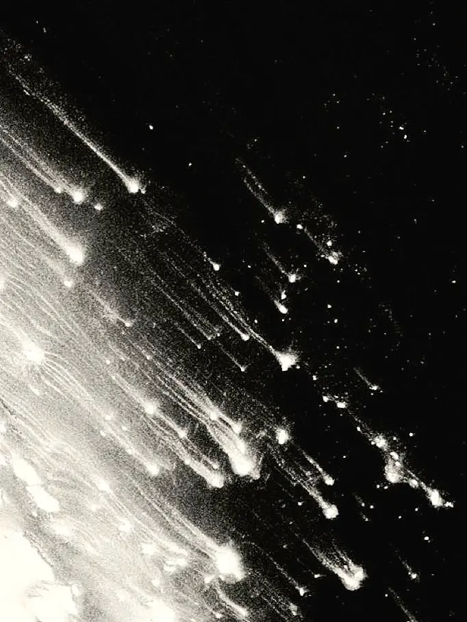 1_00의 쓰레기를 좋아하는