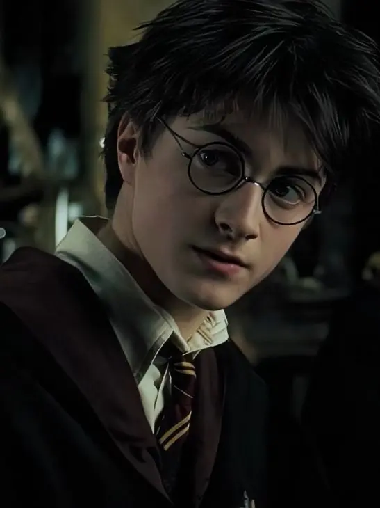 SoftVomit3380의 Harry's little sister