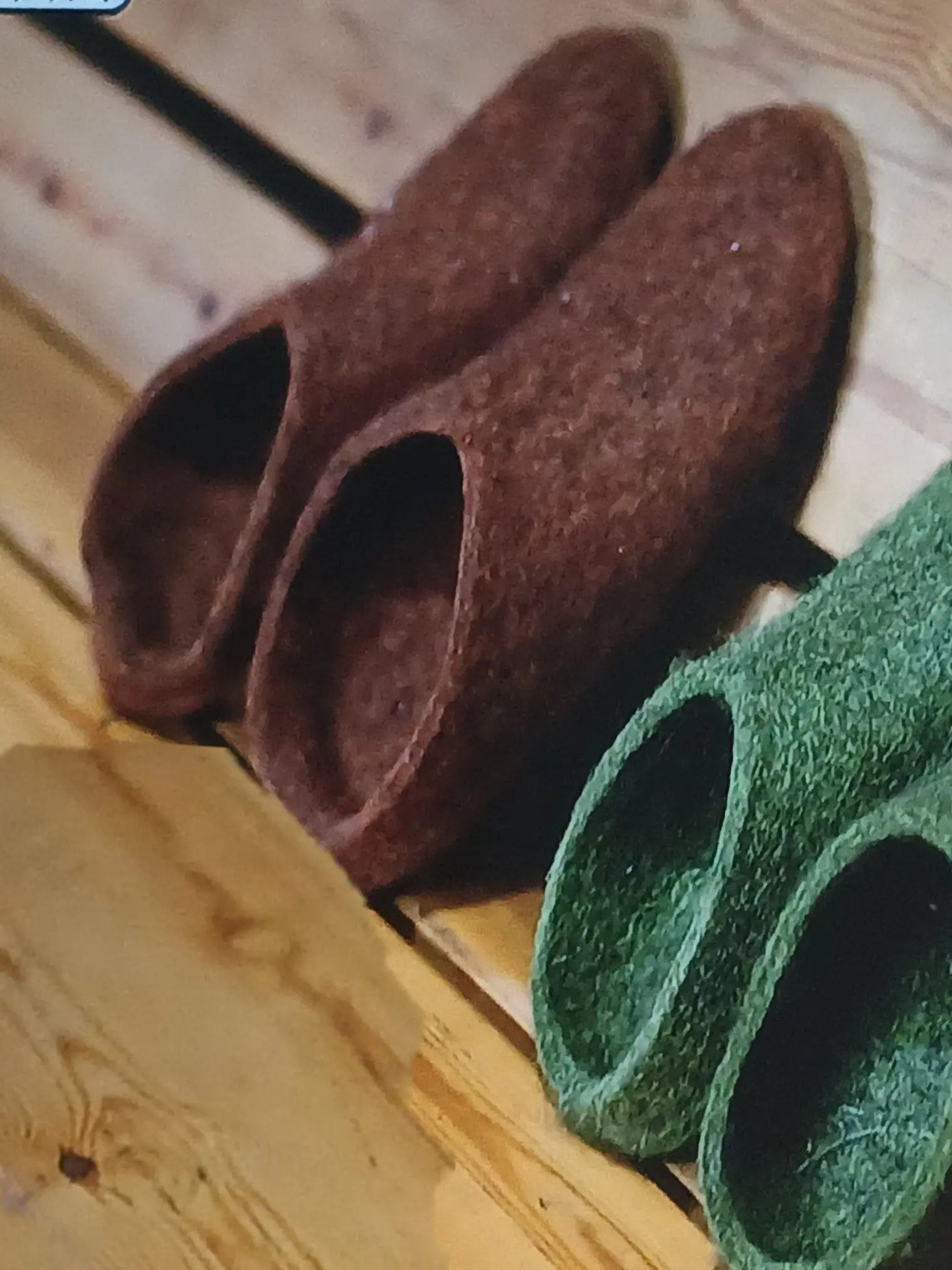 MuggyMud8158의 정공룡