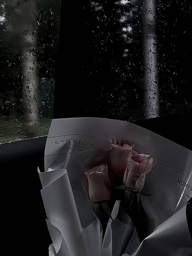 패러다이스 낙원 조직 대표 이미지