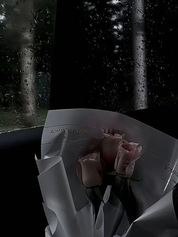 Wowsswws의 패러다이스 낙원 조직