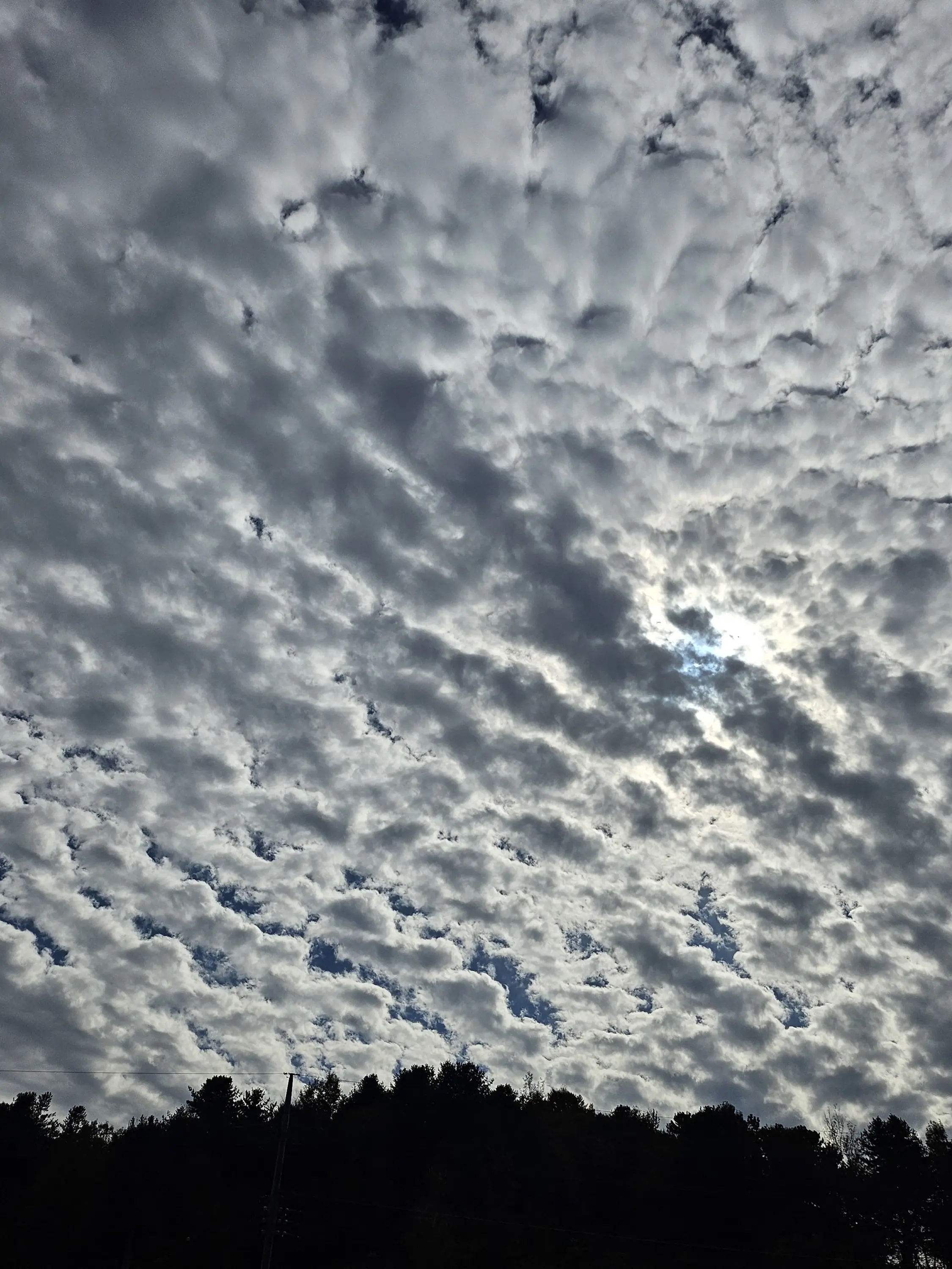 smile-의 미스터리수사반