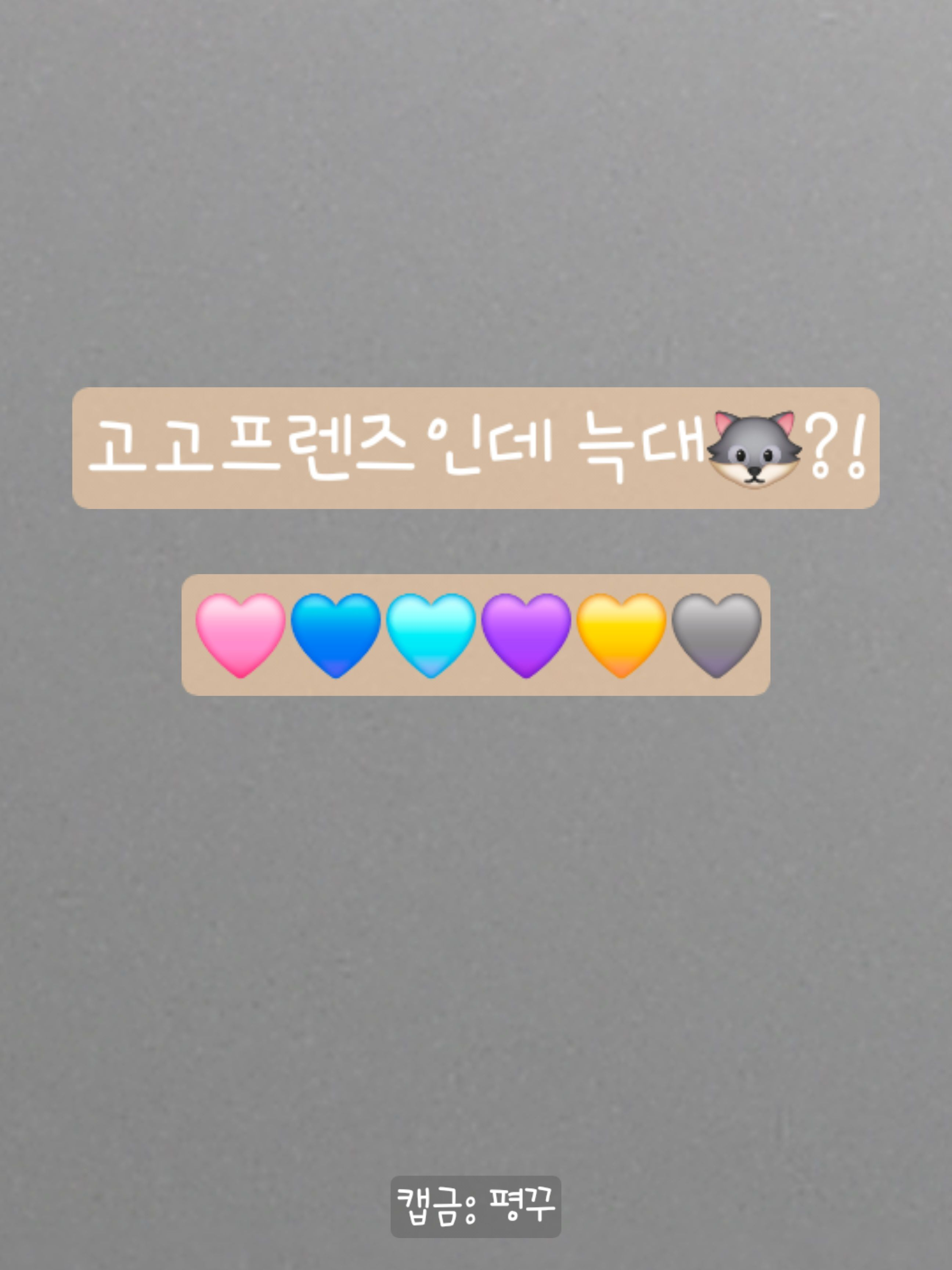 고고프렌즈인데 늑대🐺?! 대표 이미지