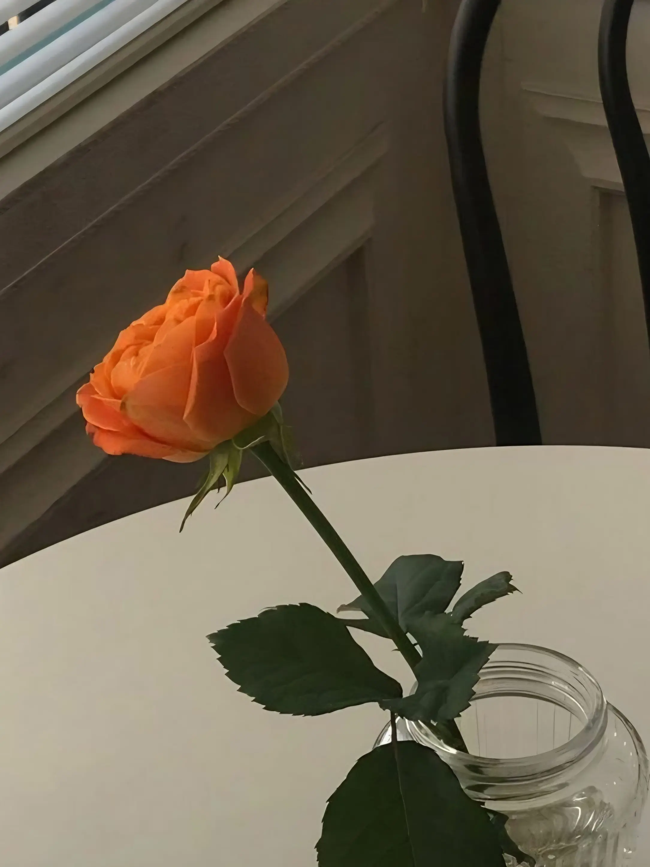 Marin_Home_Please_0016의 기억해주세요,