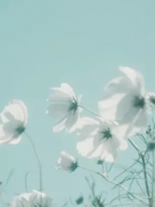 hellouju_0315의 [공지: 재시작]