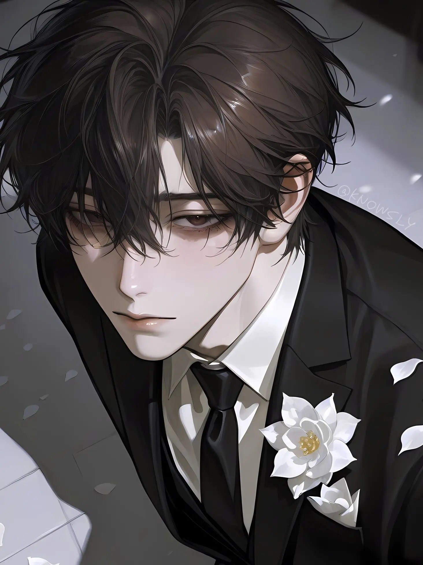 knowsly의 신이안