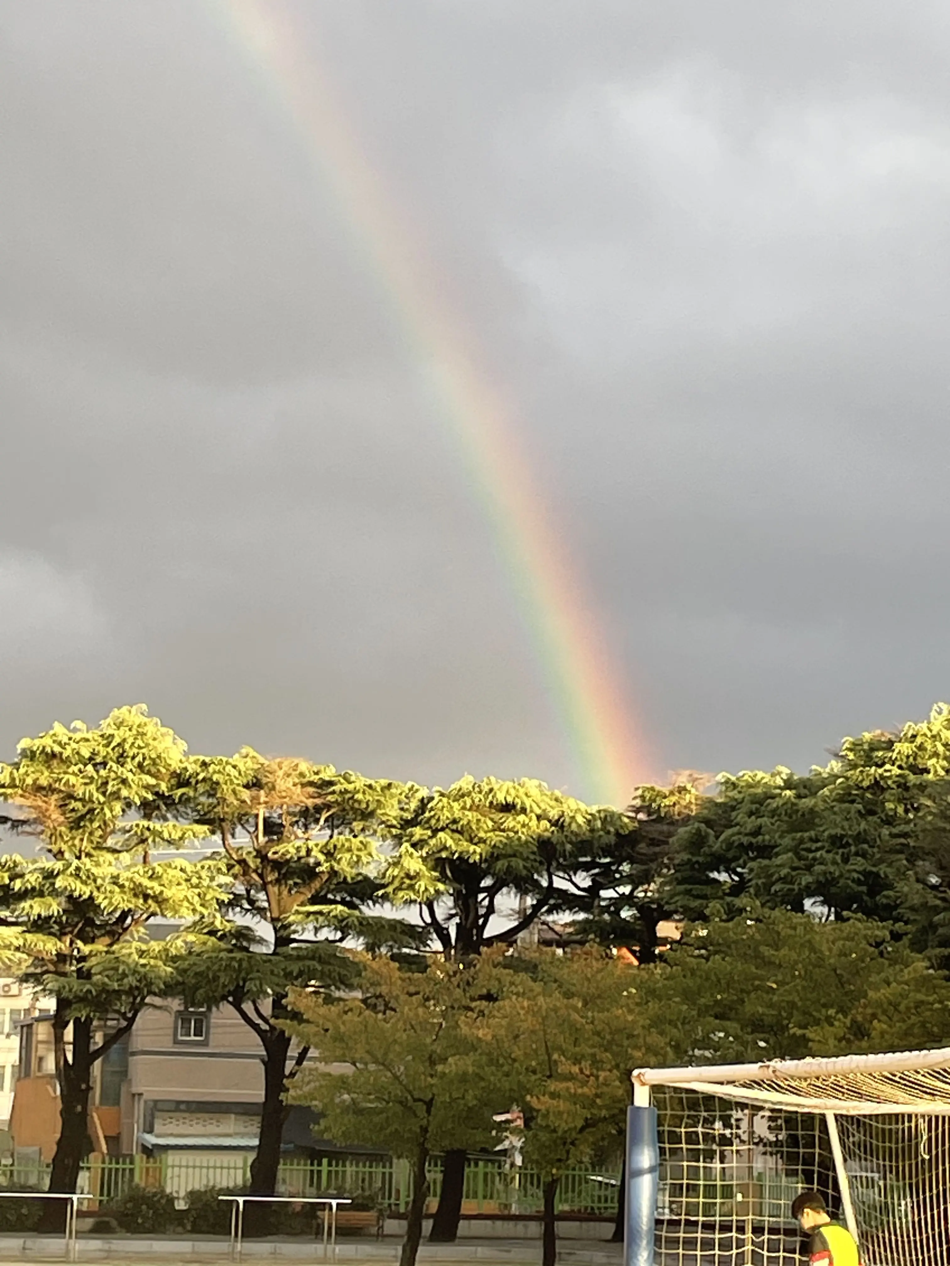 RuralWharf1619의 싸이코드