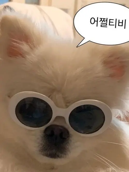 CostlyStoat4228의 {주인장 (세계관)자캐들}