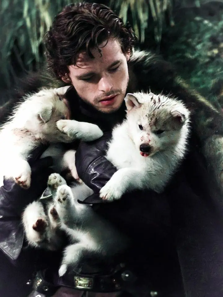 daexnerys의 Robb Stark