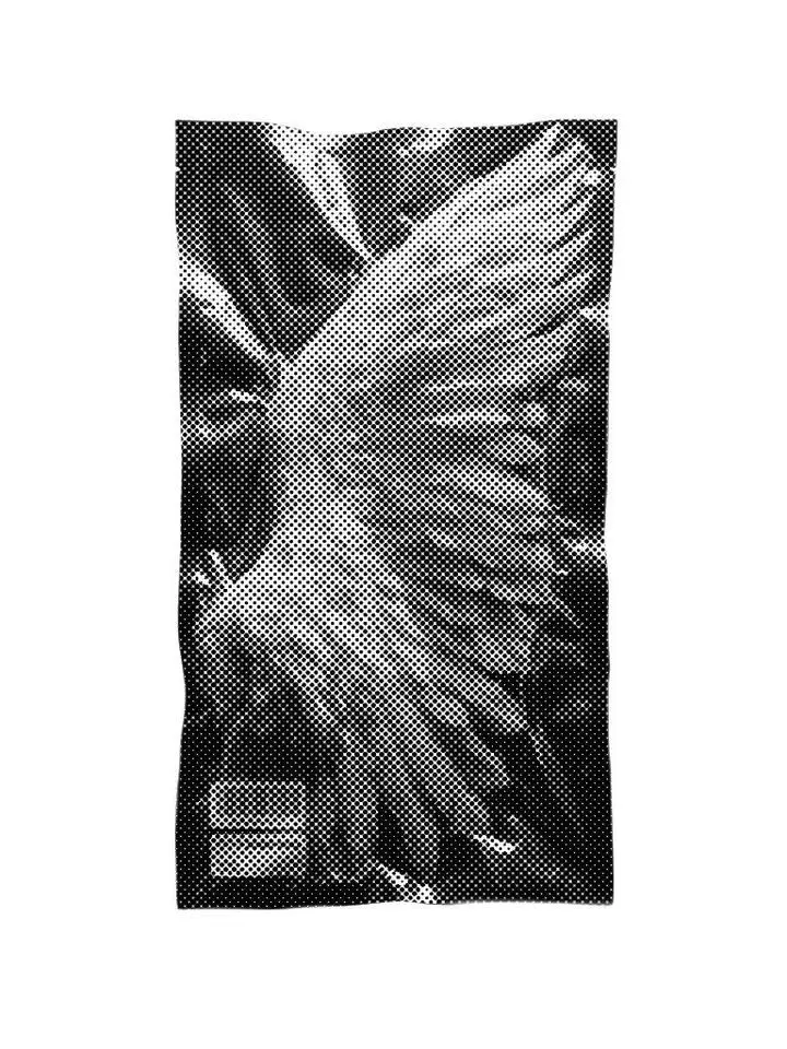 44.4의 ㅤㅤㅤㅤ