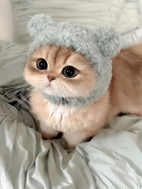 최산 대표 이미지