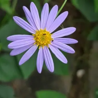 GloomyTail2994의 양광 오빠