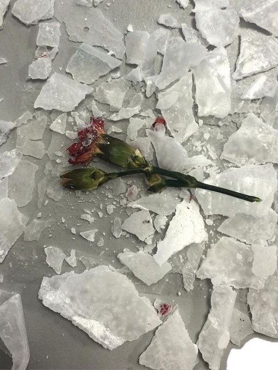 夢想 대표 이미지