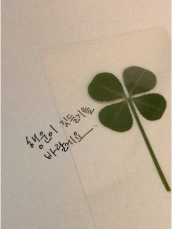 피구시간 그 후의 이야기.. 대표 이미지