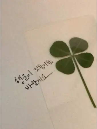 Mysticism의 피구시간 그 후의 이야기..