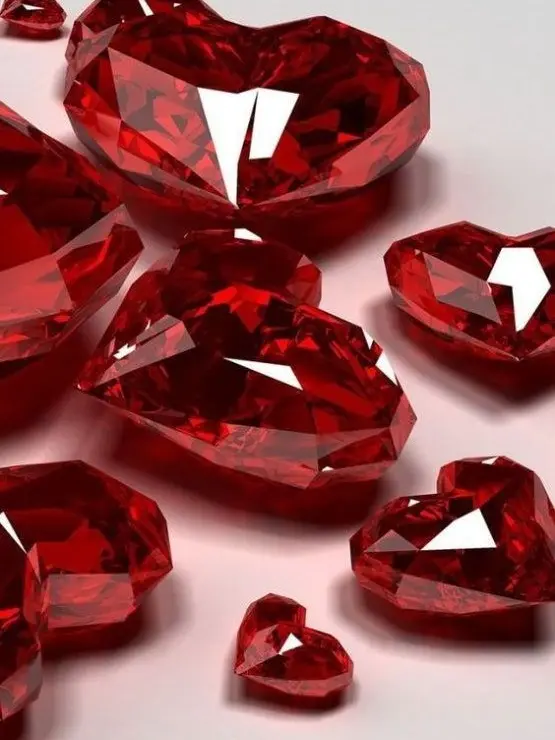 NOlSE의 친애하는 형사님께.