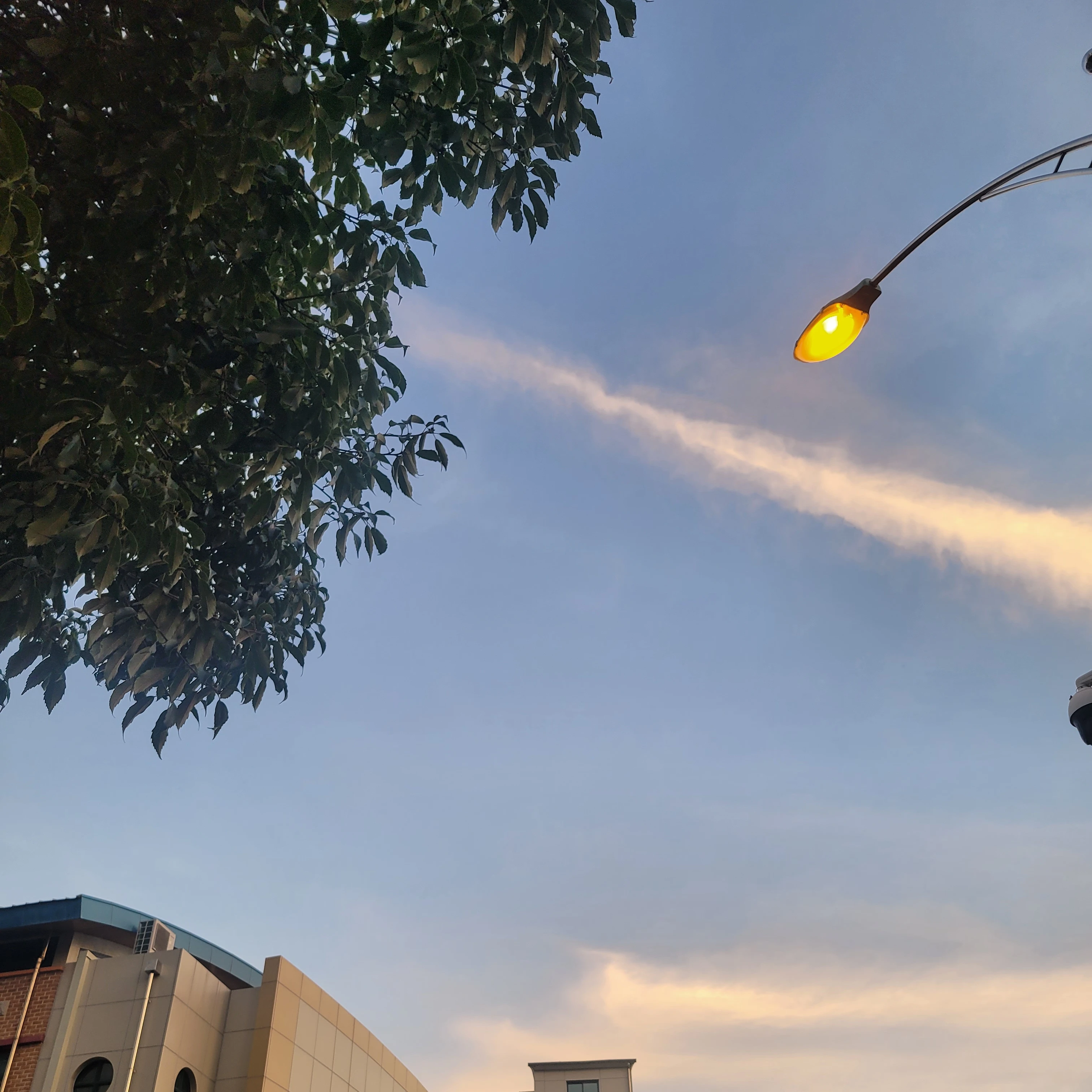 무서운 고백노트