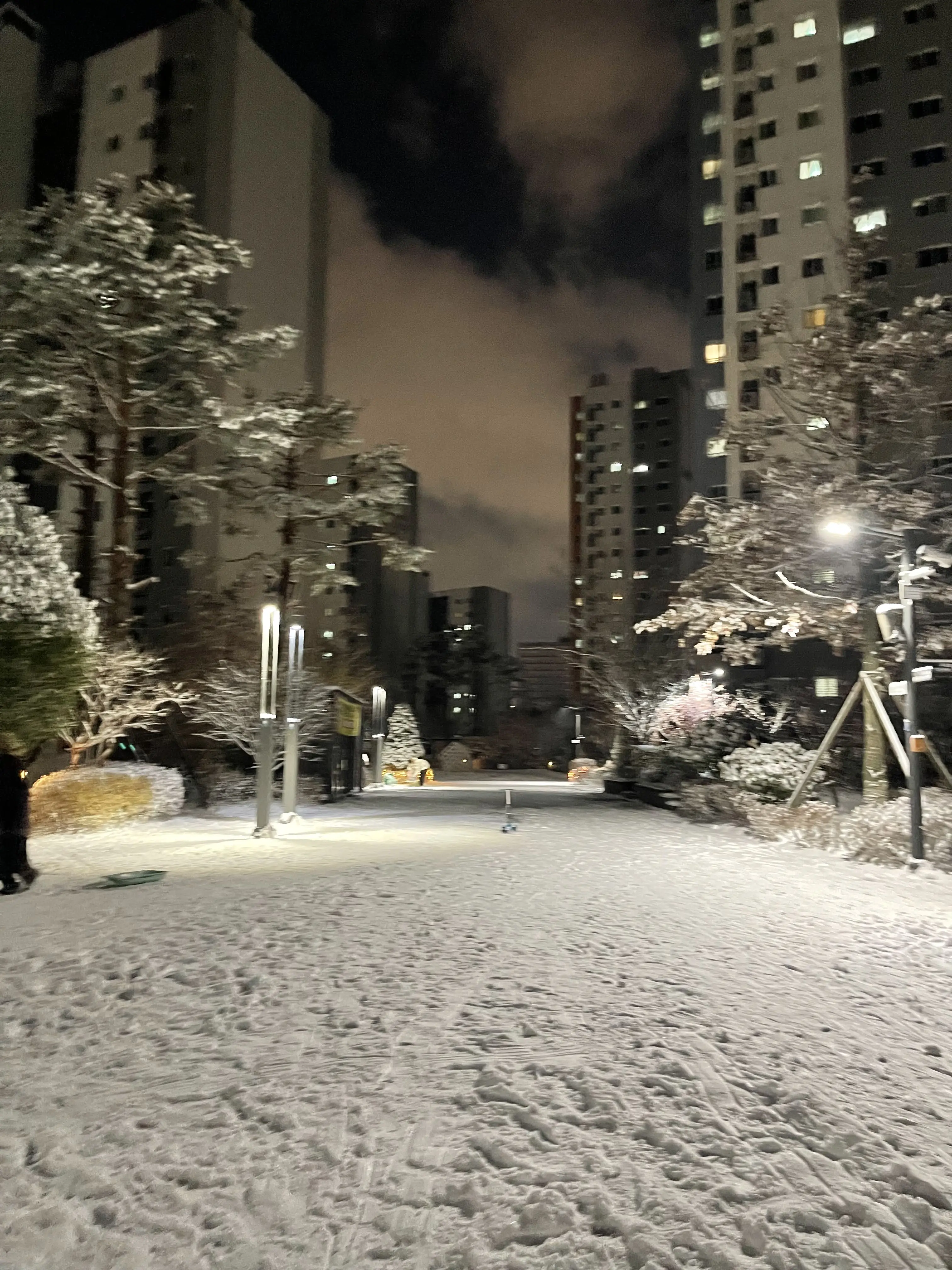 20250106의 리레볼루션