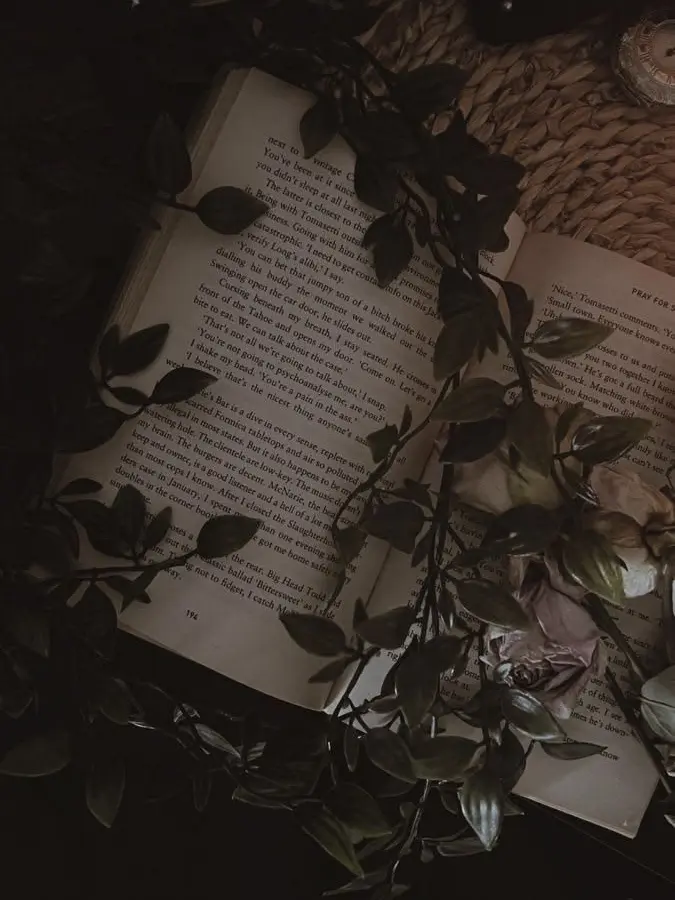 FakeCold9185의 An author and their love