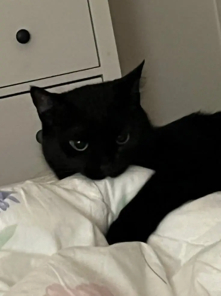 SaltySteel0495의 유하민