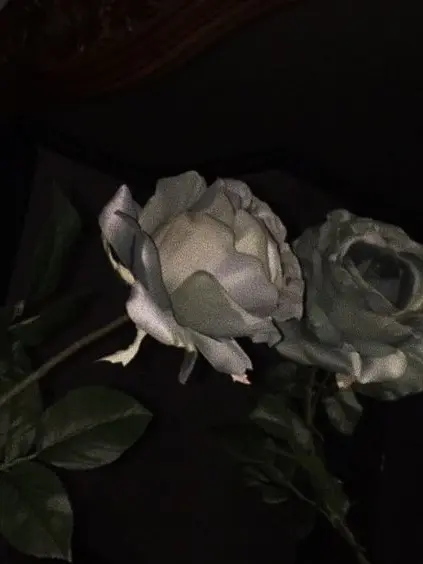 Tiiis2u의 최지우 [gl]