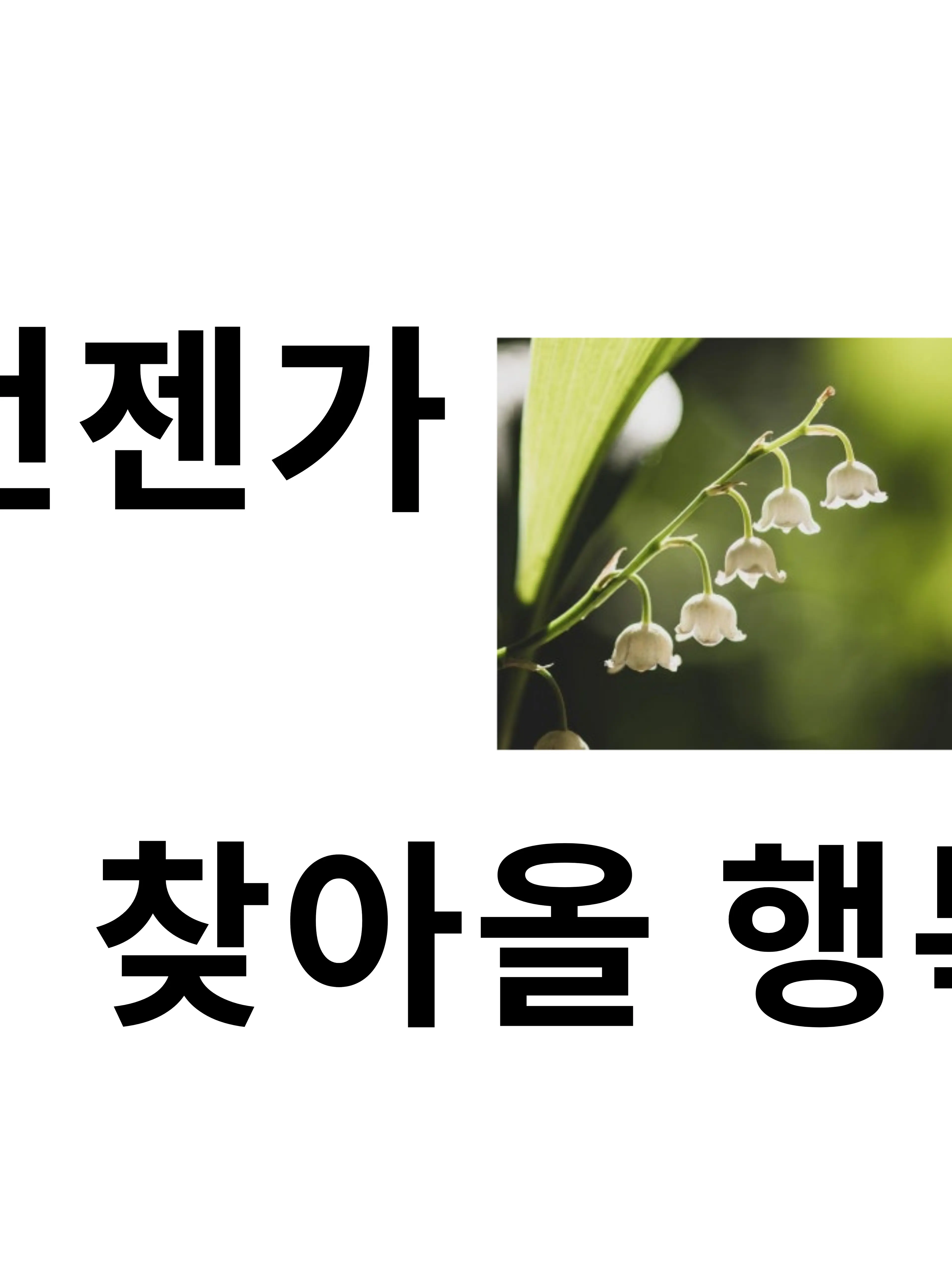 Seoy14의 언젠간 행복이 찾아올꺼야,반드시