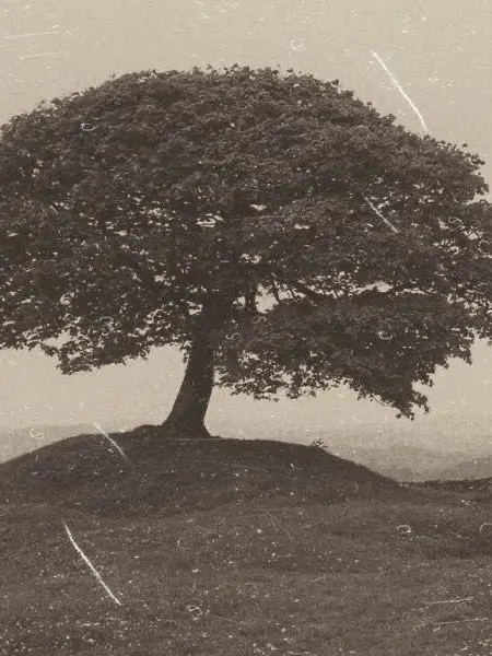 YeOn_11O2의 그대는 다른 세상 속으로 가주길 바래