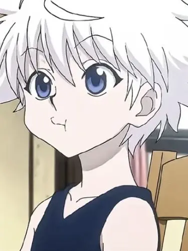 IndigoSleet8231의 ハンターハンター