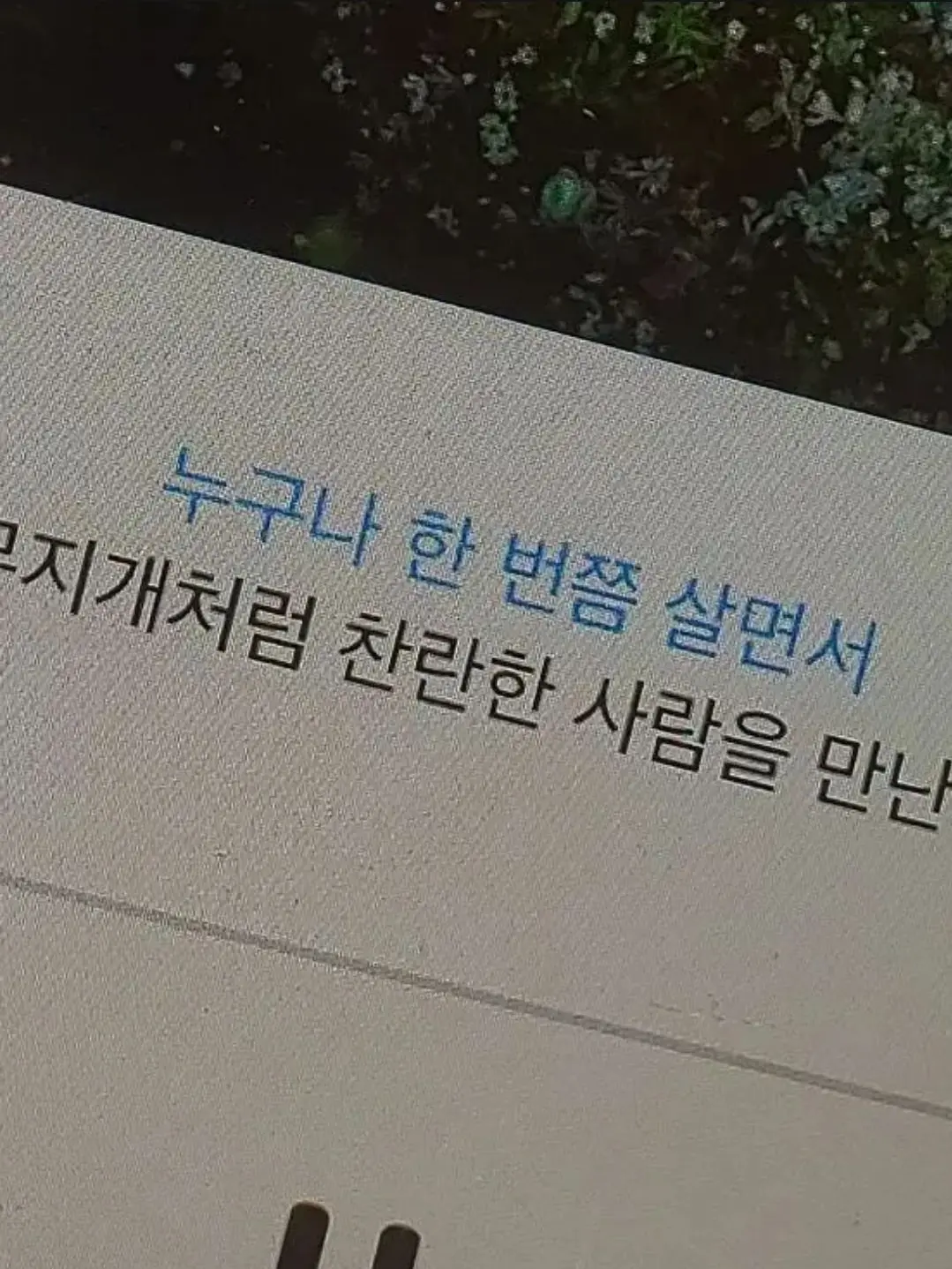 TOTOTOTOTOTOTOTOTOTOTOTOTOTOTO의 백 한