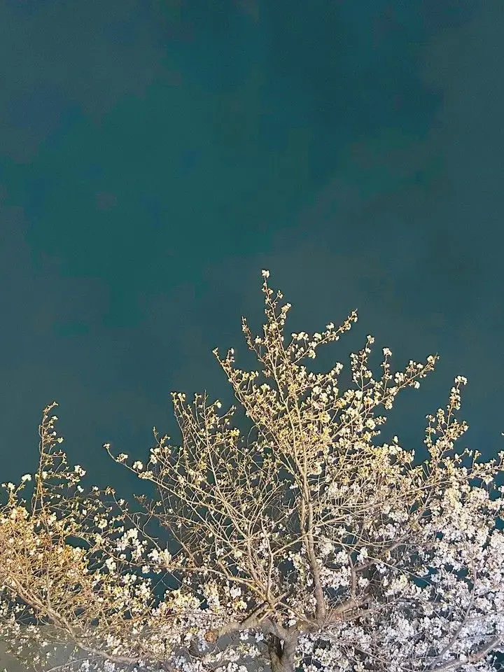 ryochan_daZoy33553345의 「ねぇ{user}、付き合お?」