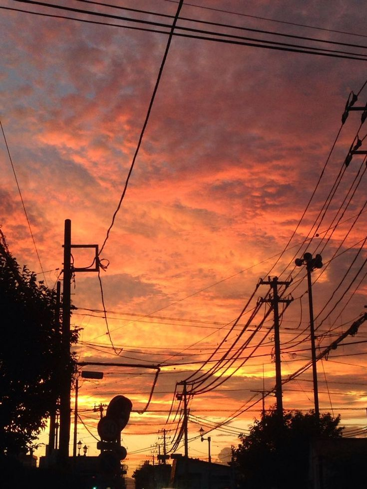 🌇 ) 1214 대표 이미지