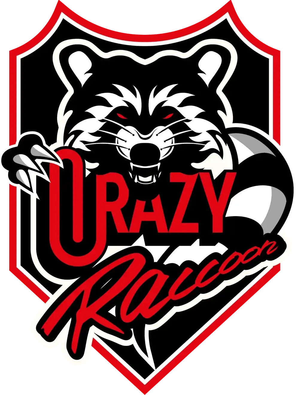 CHANGMO1의 크레이지 라쿤