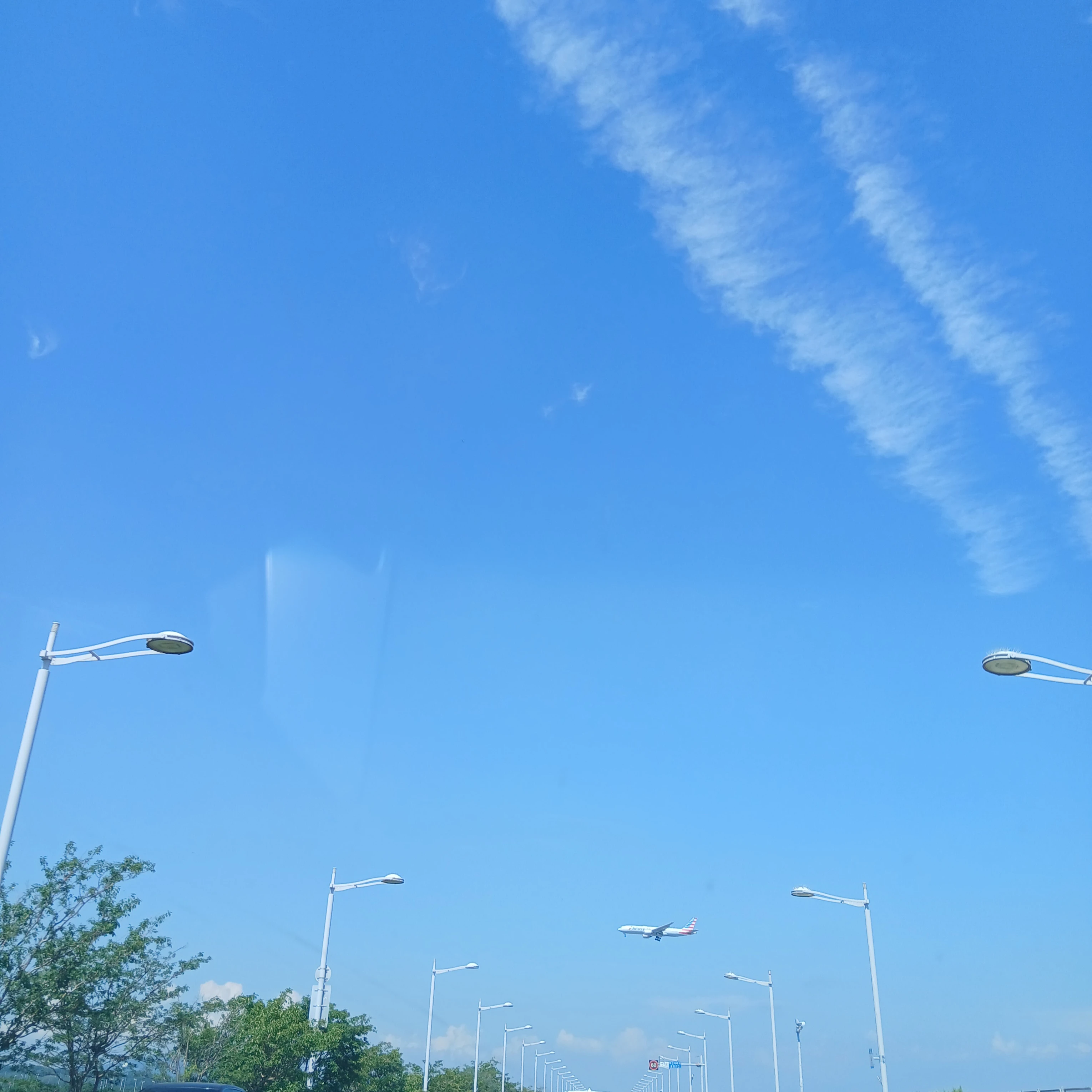 플래티넘