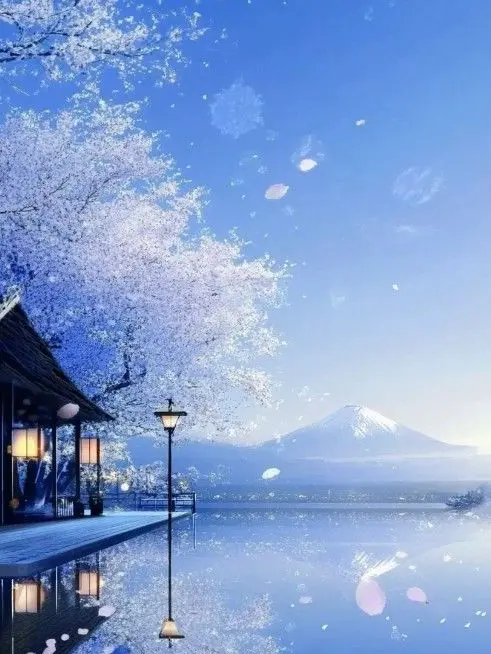 Ria0219의 今日、好きになりました