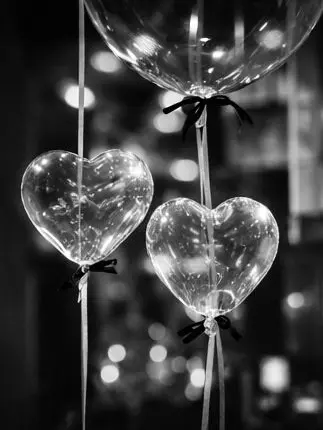 knt_hbr_zeffiro의 バディ