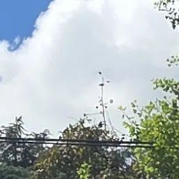 MatureMedal5761의 꿈뜰학교시리즈-초능력2